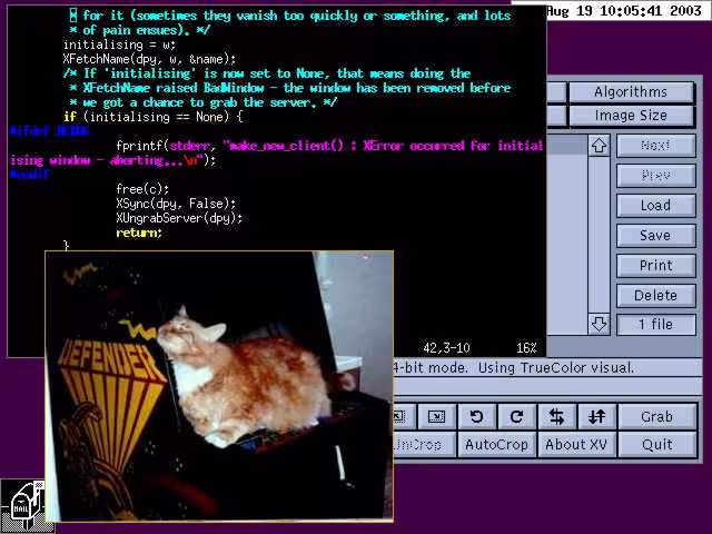 evilwm Screenshot